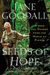 Cover art for SEEDS OF HOPE