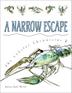 Cover art for A NARROW ESCAPE
