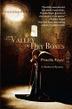 Cover art for VALLEY OF DRY BONES
