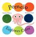 Cover art for POMELO EXPLORES COLOR