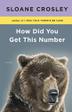 Cover art for HOW DID YOU GET THIS NUMBER