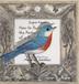 Cover art for HOW TO PAINT THE PORTRAIT OF A BIRD