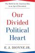 Cover art for OUR DIVIDED POLITICAL HEART