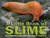 Cover art for A LITTLE BOOK OF SLIME