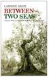 Cover art for BETWEEN TWO SEAS