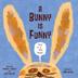 Cover art for A BUNNY IS FUNNY