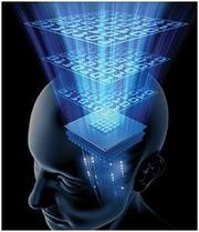 Cover art for FROM THE MIND INTO THE BODY