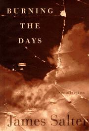 Cover art for BURNING THE DAYS