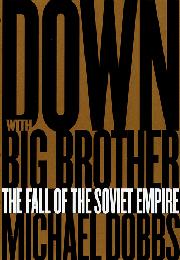 Cover art for DOWN WITH BIG BROTHER