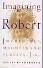 Cover art for IMAGINING ROBERT