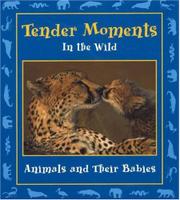 Cover art for TENDER MOMENTS IN THE WILD
