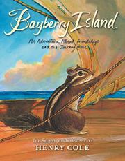 BAYBERRY ISLAND by Henry Cole