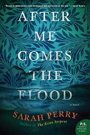 AFTER ME COMES THE FLOOD by Sarah Perry