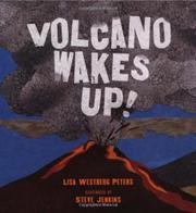 Cover art for VOLCANO WAKES UP!
