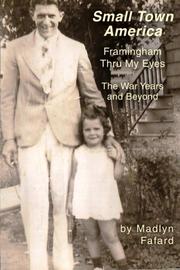 Cover art for SMALL TOWN AMERICA FRAMINGHAM THRU MY EYES