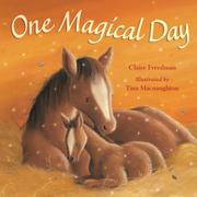 Book Cover for ONE MAGICAL DAY