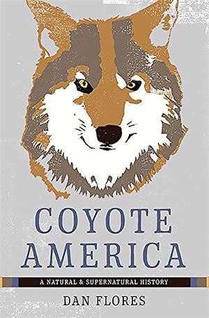COYOTE AMERICA