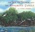 Cover art for THE SEA, THE STORM, AND THE MANGROVE TANGLE