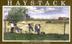 Cover art for HAYSTACK
