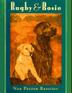 Cover art for RUGBY & ROSIE