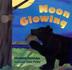 Cover art for MOON GLOWING