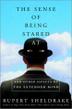 Cover art for THE SENSE OF BEING STARED AT