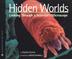 Cover art for HIDDEN WORLDS