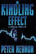 Cover art for THE KINDLING EFFECT