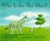 Cover art for WHY IS THE SKY BLUE?