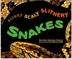Cover art for SLINKY, SCALY, SLITHERY SNAKES