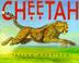 Cover art for CHEETAH