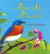 Cover art for BLUE SKY BLUEBIRD