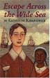 Cover art for ESCAPE ACROSS THE WIDE SEA