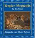 Cover art for TENDER MOMENTS IN THE WILD