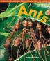 Cover art for ANTS