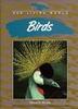 Cover art for BIRDS