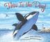 Cover art for THIS IS THE DAY!
