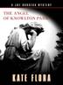Cover art for THE ANGEL OF KNOWLTON PARK